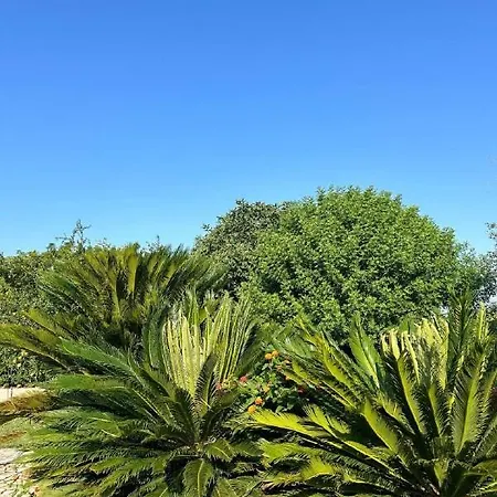 Paradiso Latiano