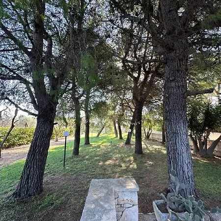 Paradiso * Latiano