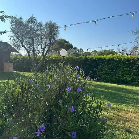 Paradiso Villa